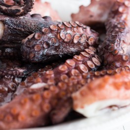 Pulpo (cocido)