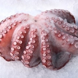 Pulpo crudo refrigerado Pulpo crudo refrigerado