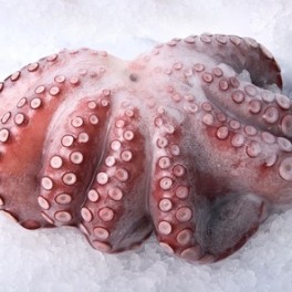 Pulpo crudo refrigerado