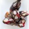 Percebes