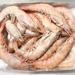 Langostino Salvaje Langostino Salvaje